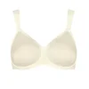 Essential Minimizer W, Ivory