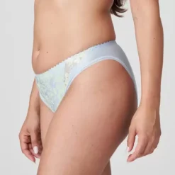 Nuzha Tai Brief, Cloud