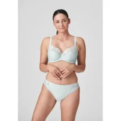 Nuzha Tai Brief, Cloud